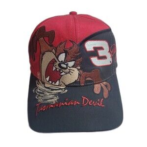 Vintage Taz Dale Earnhardt Sr. AOP snapback hat #3 Looney Tunes